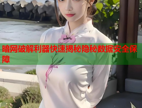 暗网破解利器快速揭秘隐秘数据安全保障