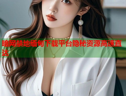 暗网禁地缅甸下载平台隐秘资源高速直达