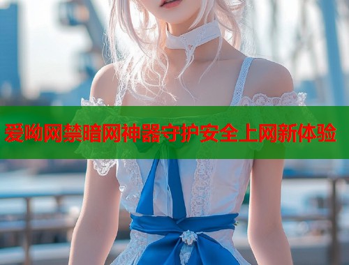 爱呦网禁暗网神器守护安全上网新体验