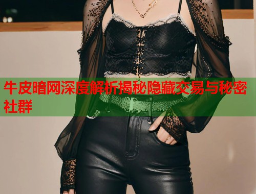 牛皮暗网深度解析揭秘隐藏交易与秘密社群  第2张