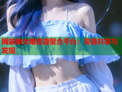 网禁拗女暗资源聚合平台：资源共享与发现