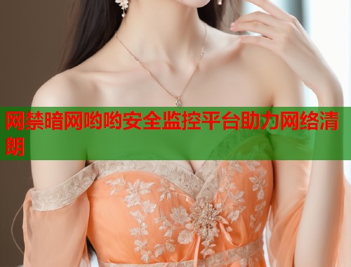 网禁暗网哟哟安全监控平台助力网络清朗