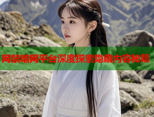网禁暗网平台深度探索隐藏内容秘籍  第1张