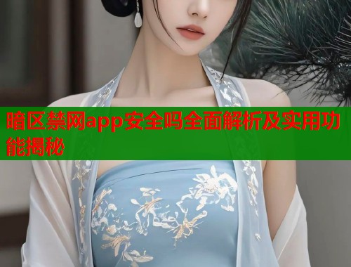暗区禁网app安全吗全面解析及实用功能揭秘