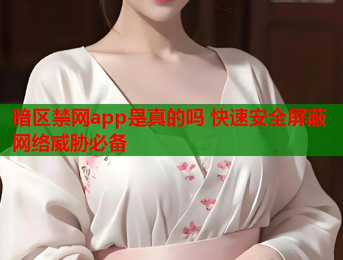 暗区禁网app是真的吗 快速安全屏蔽网络威胁必备