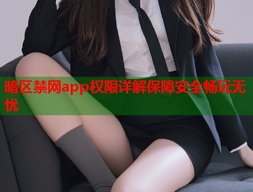 暗区禁网app权限详解保障安全畅玩无忧