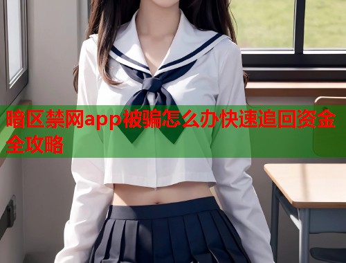 暗区禁网app被骗怎么办快速追回资金全攻略  第2张