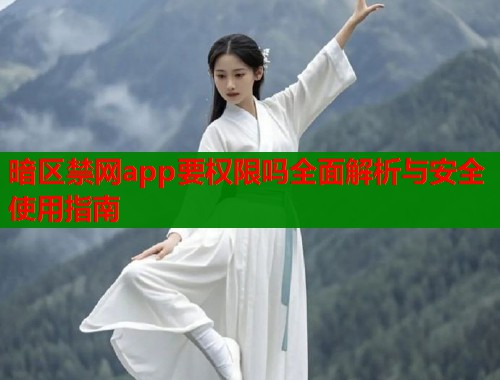 暗区禁网app要权限吗全面解析与安全使用指南