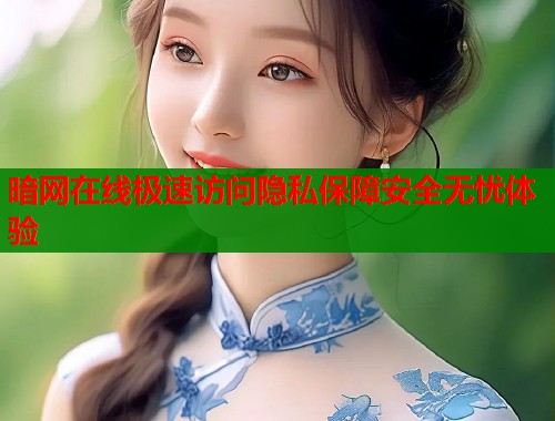 暗网在线极速访问隐私保障安全无忧体验