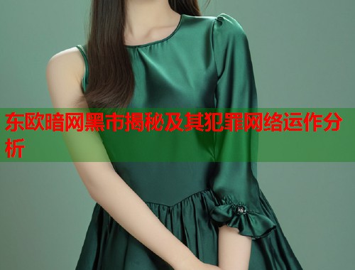 东欧暗网黑市揭秘及其犯罪网络运作分析
