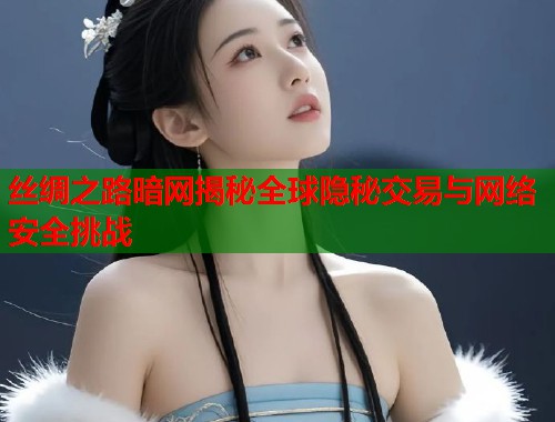 丝绸之路暗网揭秘全球隐秘交易与网络安全挑战