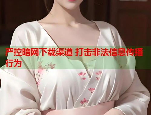 严控暗网下载渠道 打击非法信息传播行为