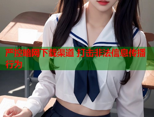 严控暗网下载渠道 打击非法信息传播行为  第2张