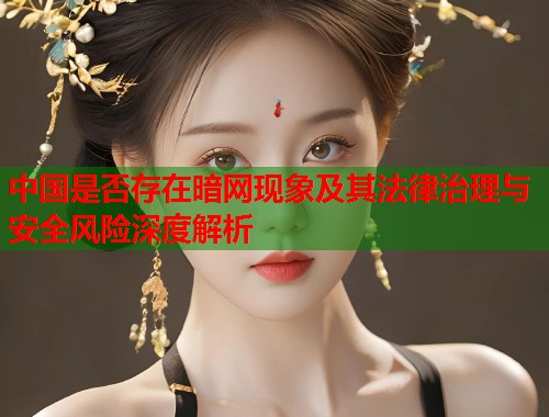 中国是否存在暗网现象及其法律治理与安全风险深度解析