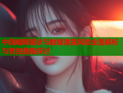 中国暗网现状与数据泄露风险全面解析与管控措施探讨