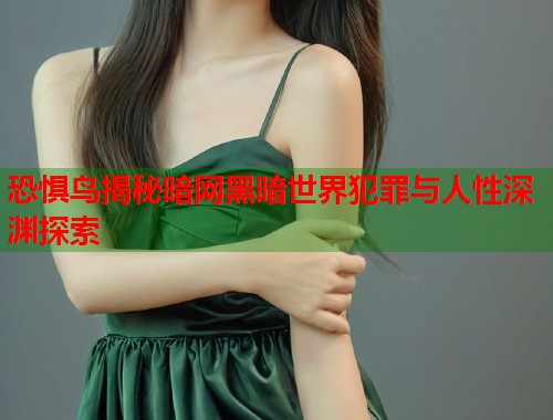 恐惧鸟揭秘暗网黑暗世界犯罪与人性深渊探索