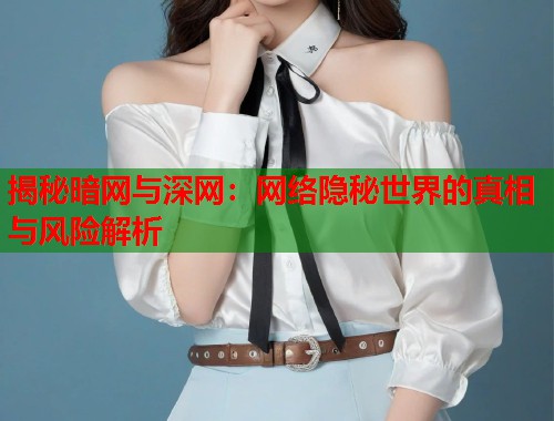 揭秘暗网与深网：网络隐秘世界的真相与风险解析  第2张