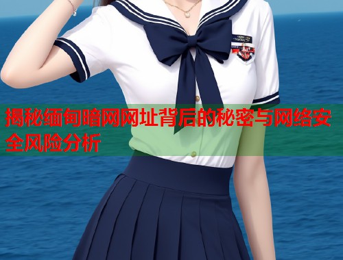 揭秘缅甸暗网网址背后的秘密与网络安全风险分析  第2张