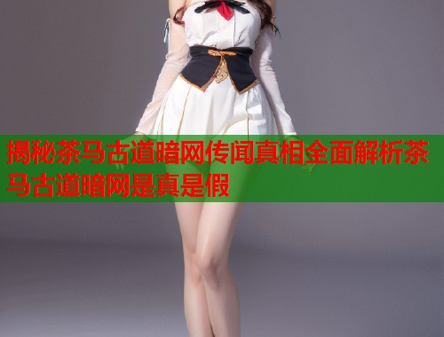 揭秘茶马古道暗网传闻真相全面解析茶马古道暗网是真是假