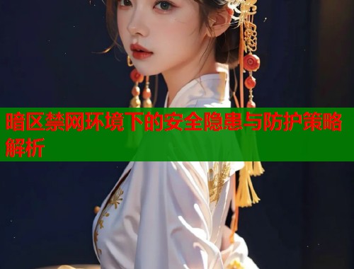 暗区禁网环境下的安全隐患与防护策略解析