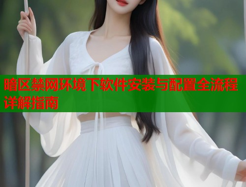 暗区禁网环境下软件安装与配置全流程详解指南