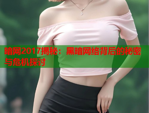 暗网2017揭秘：黑暗网络背后的秘密与危机探讨  第2张