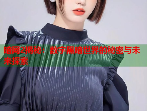 暗网2揭秘：数字黑暗世界的秘密与未来探索  第2张
