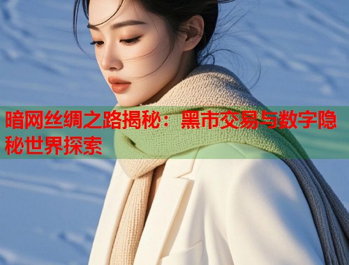 暗网丝绸之路揭秘：黑市交易与数字隐秘世界探索