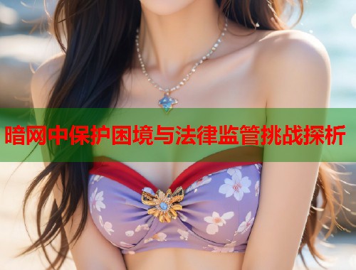 暗网中保护困境与法律监管挑战探析