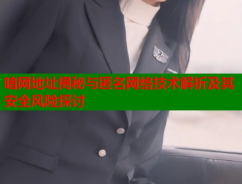 暗网地址揭秘与匿名网络技术解析及其安全风险探讨