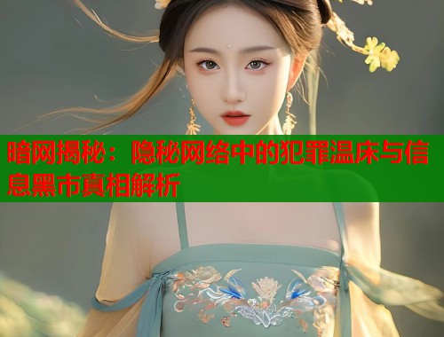 暗网揭秘：隐秘网络中的犯罪温床与信息黑市真相解析