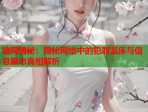 暗网揭秘：隐秘网络中的犯罪温床与信息黑市真相解析  第2张