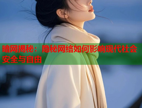 暗网揭秘：隐秘网络如何影响现代社会安全与自由  第1张