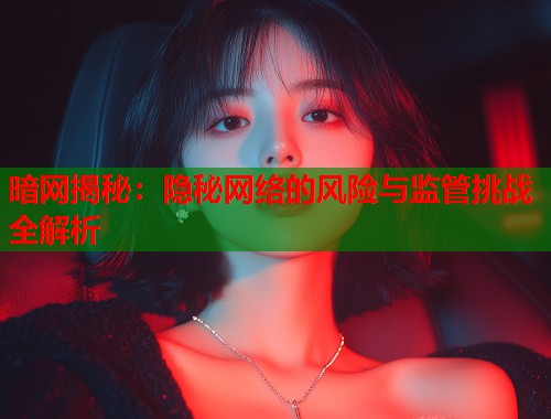 暗网揭秘：隐秘网络的风险与监管挑战全解析  第1张