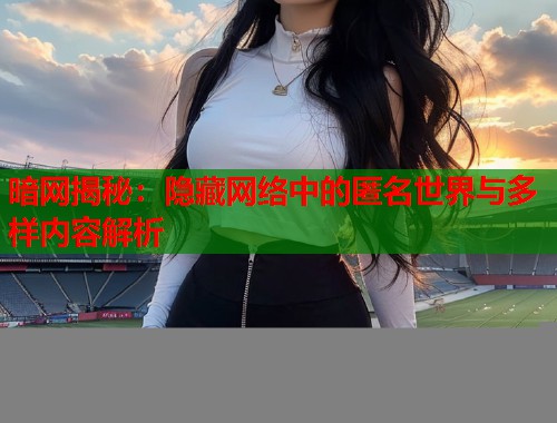 暗网揭秘：隐藏网络中的匿名世界与多样内容解析  第2张