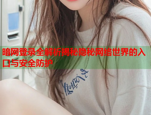 暗网登录全解析揭秘隐秘网络世界的入口与安全防护
