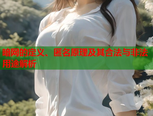 暗网的定义、匿名原理及其合法与非法用途解析  第2张