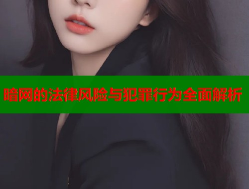 暗网的法律风险与犯罪行为全面解析  第1张
