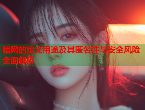 暗网的定义用途及其匿名性与安全风险全面解析  第1张