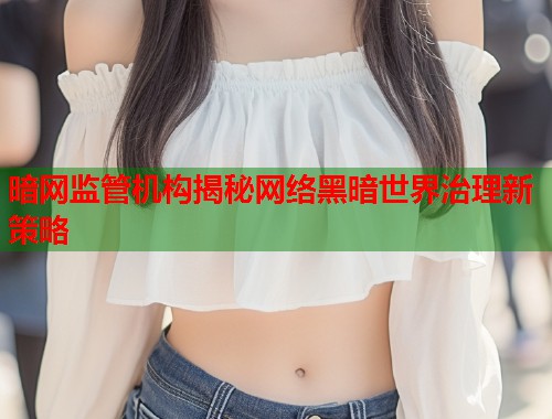 暗网监管机构揭秘网络黑暗世界治理新策略  第2张