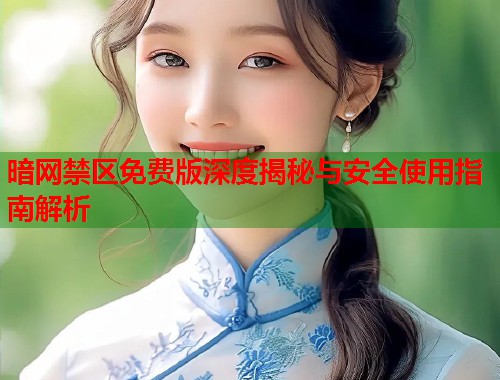 暗网禁区免费版深度揭秘与安全使用指南解析  第1张