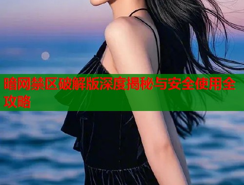 暗网禁区破解版深度揭秘与安全使用全攻略