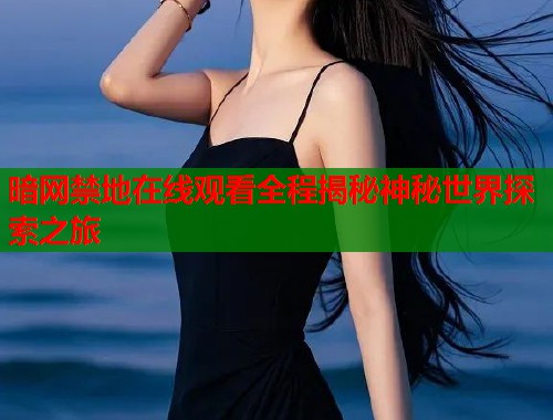 暗网禁地在线观看全程揭秘神秘世界探索之旅