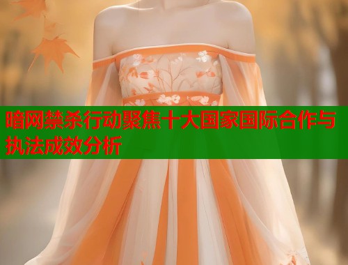 暗网禁杀行动聚焦十大国家国际合作与执法成效分析