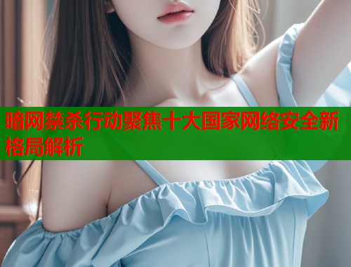 暗网禁杀行动聚焦十大国家网络安全新格局解析  第1张