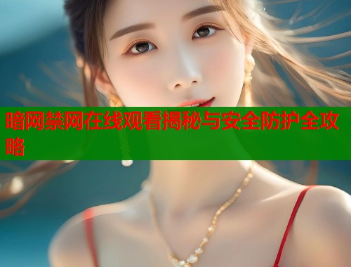 暗网禁网在线观看揭秘与安全防护全攻略