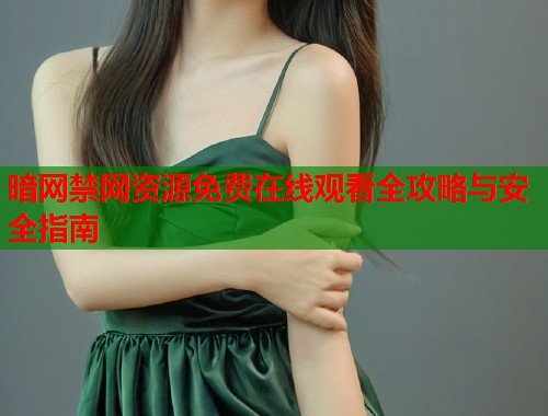 暗网禁网资源免费在线观看全攻略与安全指南  第2张