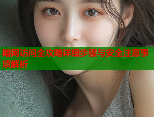 暗网访问全攻略详细步骤与安全注意事项解析  第1张