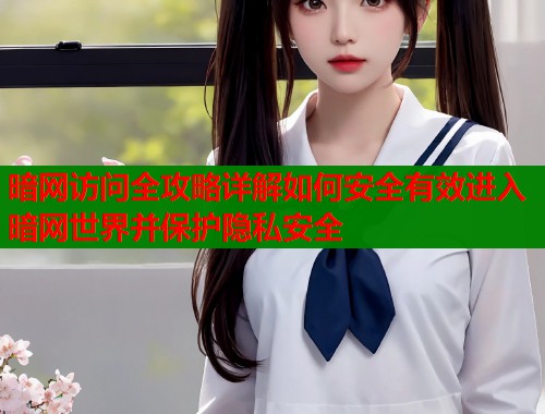 暗网访问全攻略详解如何安全有效进入暗网世界并保护隐私安全  第2张