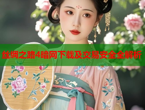 丝绸之路4暗网下载及交易安全全解析